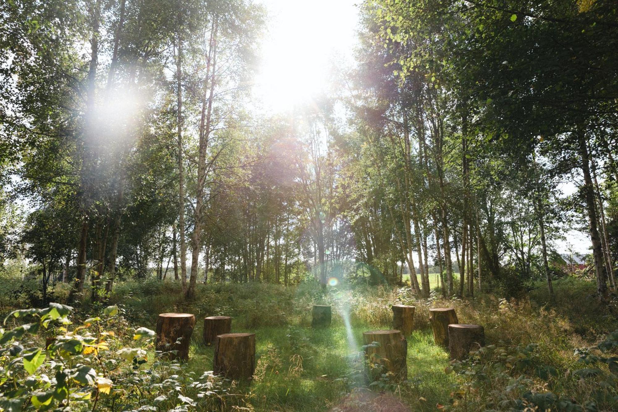 Glamping In Smaland Luxuszelt *