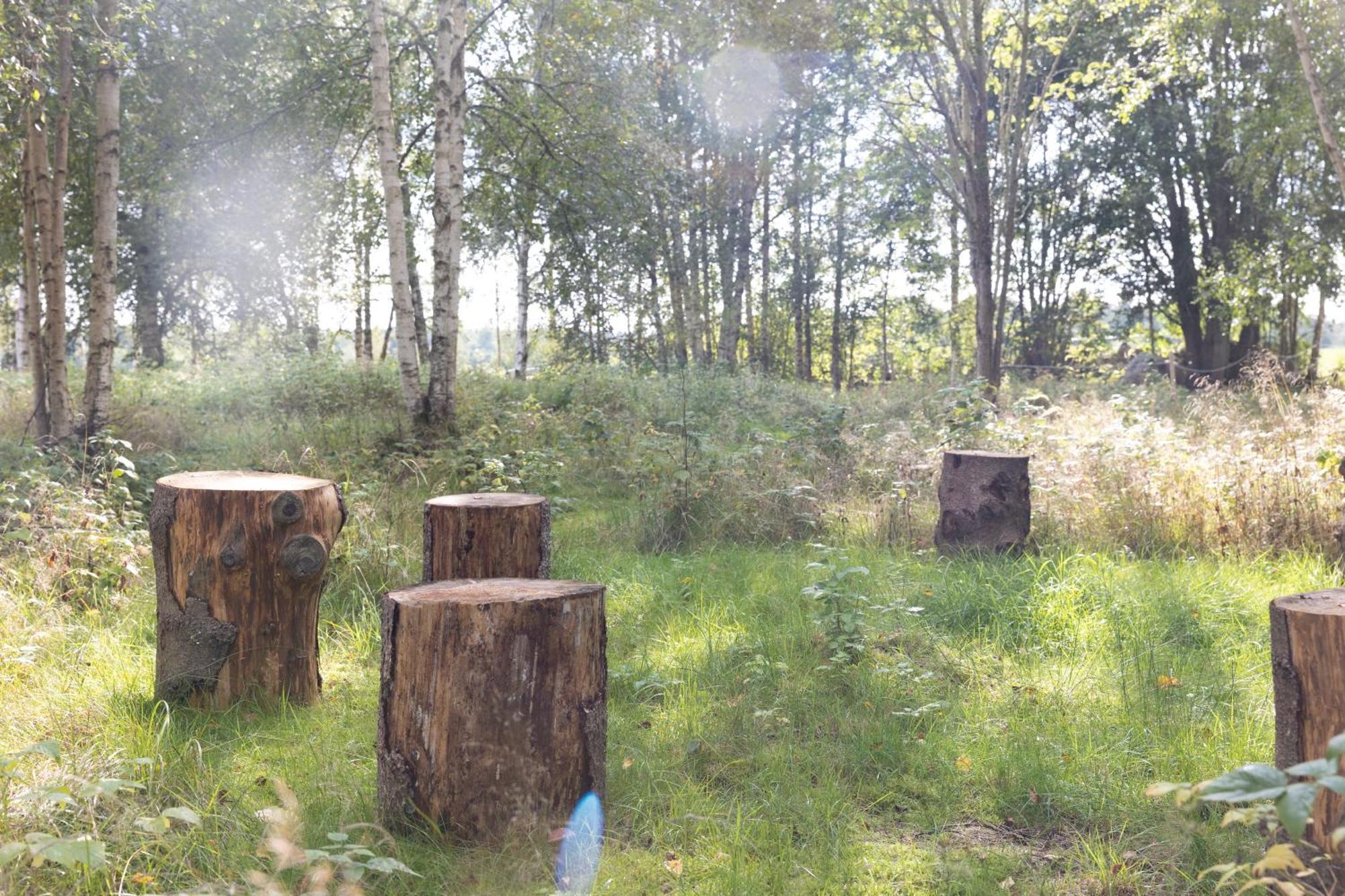 Luxuszelt Glamping In Smaland Eksjö