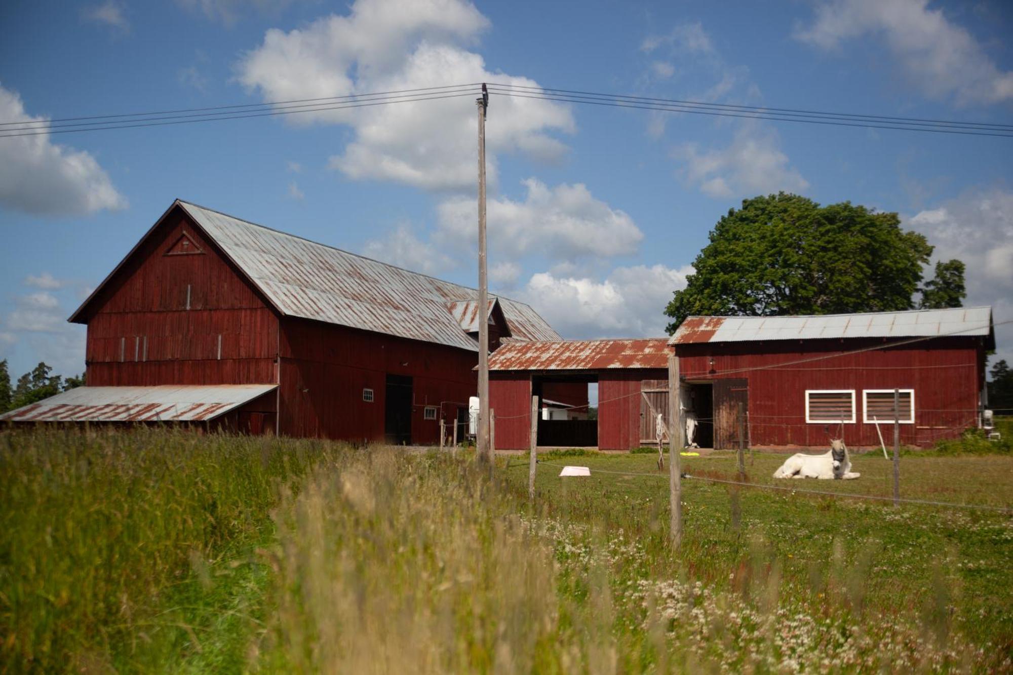 Luxuszelt Glamping In Smaland *
