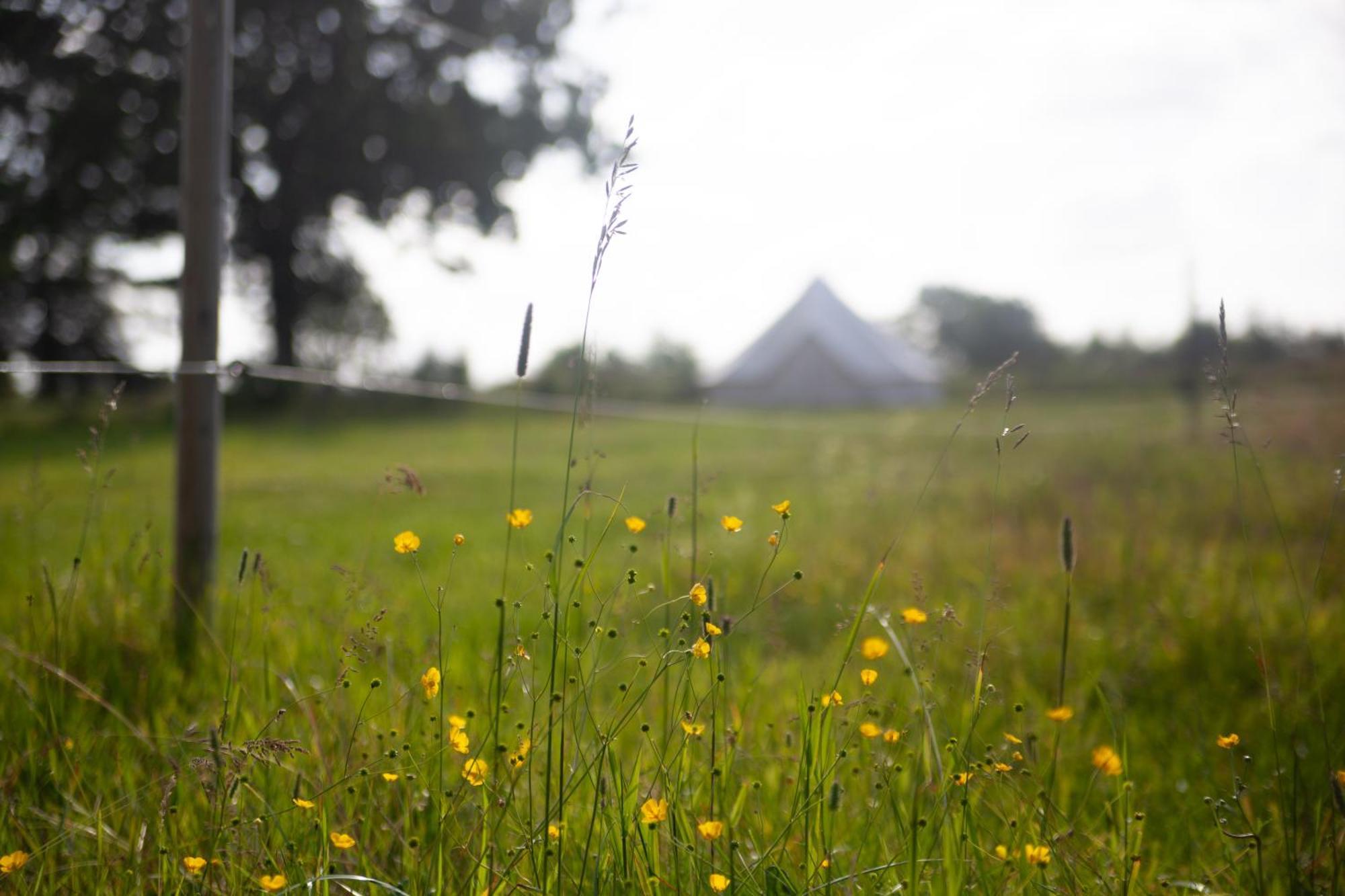 Glamping In Smaland Luxuszelt *